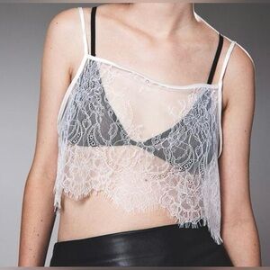H&M Sheer Lace Crop Top
